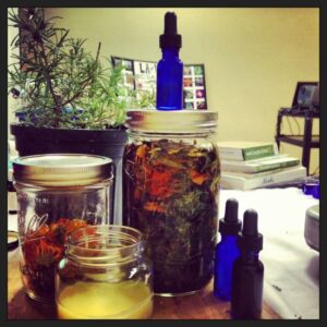 ‘Numen: The Nature of Plants’ Is a Film to See Image